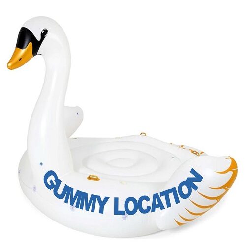 www.gummyloc.ch icon